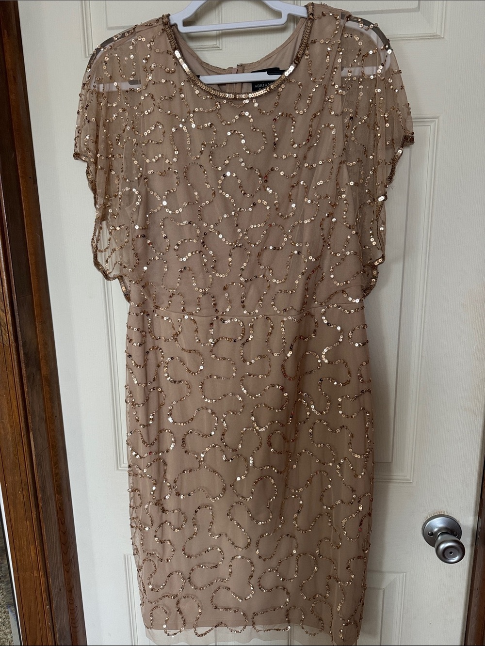 Adrianna Papell Champagne Sequin Overlay Sheath Dress